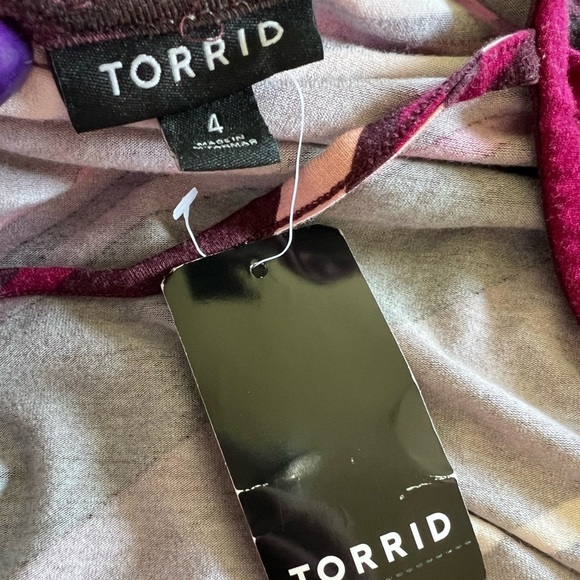 NWT Torrid 4 4X Burgundy Stripe Jersey Mini Trapeze Dress - Picture 7 of 10